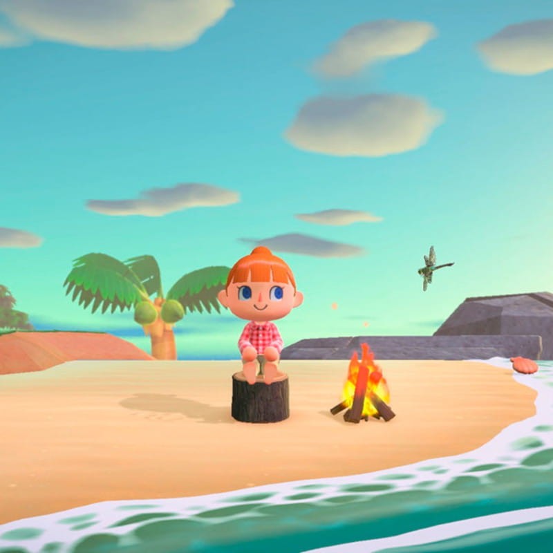Animal Crossing:New Horizons Nintendo Switch - Item4