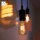 Philips Hue White LED Edison 9.5W ST64 E27 Warm White - Smart Light Bulb - Item2