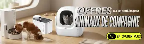 Offres pour Animaux de Compagnie