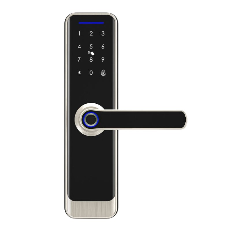 Avatto ZSDL-A270-S-ALI-5572 ZigBee Plata - Cerradura Inteligente - Ítem