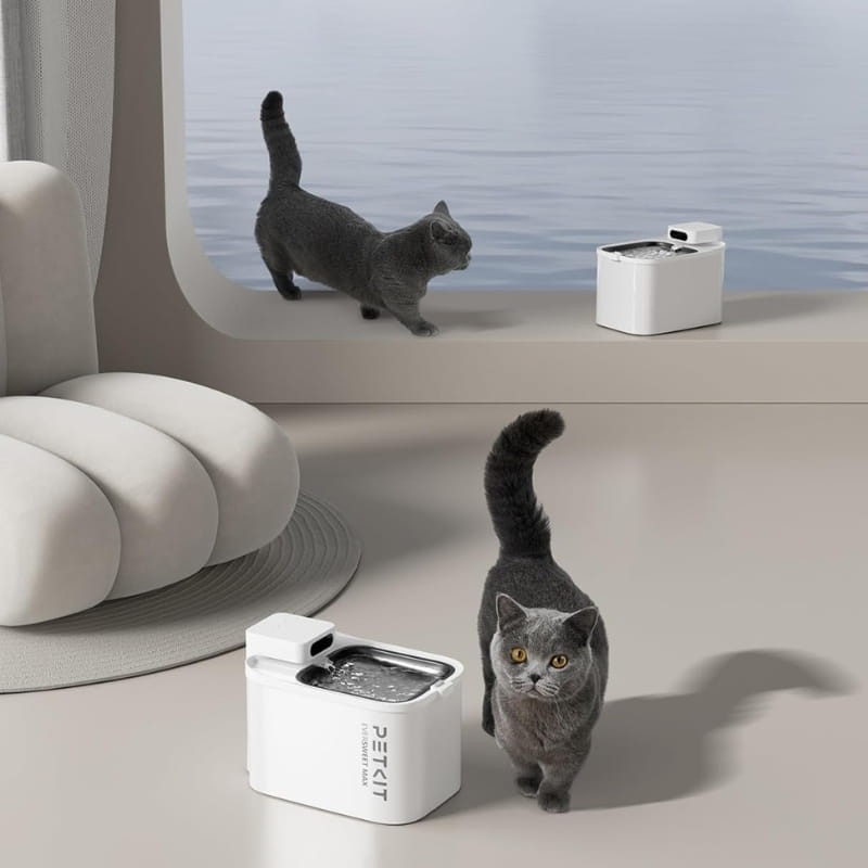 Filtres pour abreuvoir automatique PETKIT Eversweet MAX - Petkit Filter Unit Rect - Kit 5 unités - Ítem4