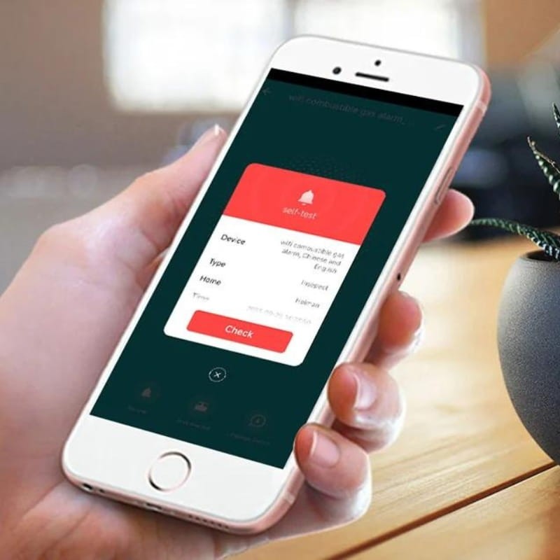 Heiman WS2CG WiFi - Detector de Gas con Alarma - Ítem6