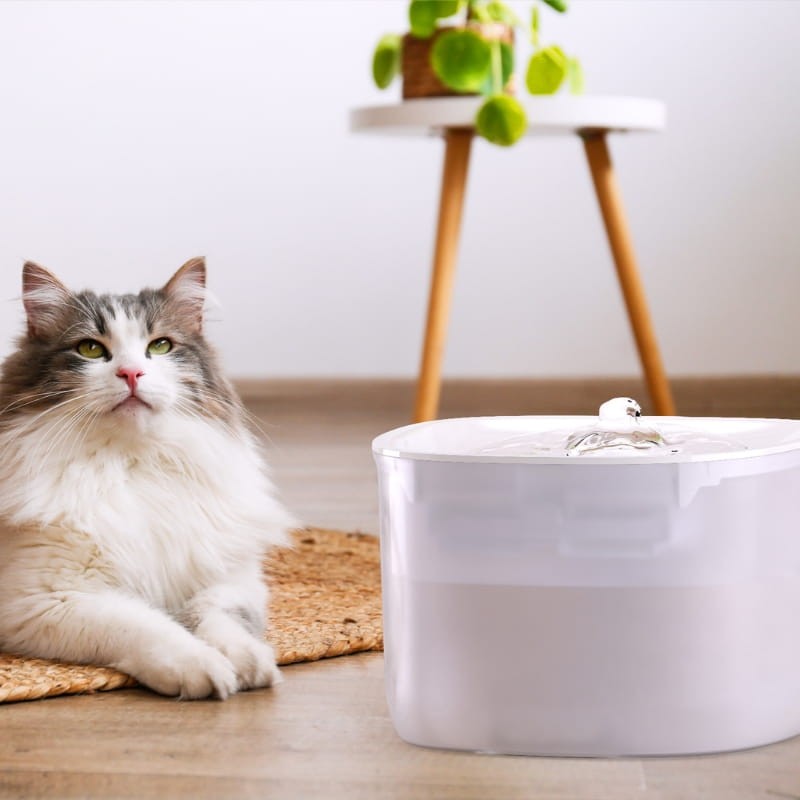 Petoneer WF007 Fresco EzPro Blanc - Abreuvoir automatique pour animaux de compagnie - Ítem6