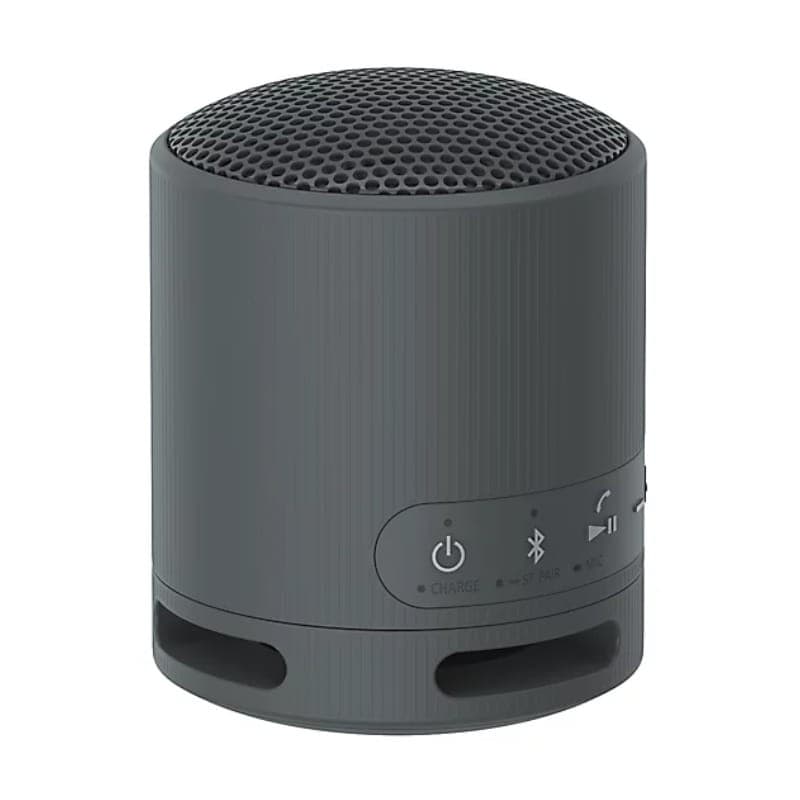 Sony SRS-XB100 Noir  Enceinte Bluetooth - contrôles intégrés