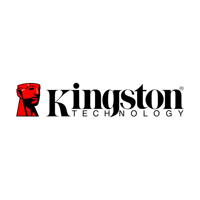 Tarjetas de memoria Kingston Technology
