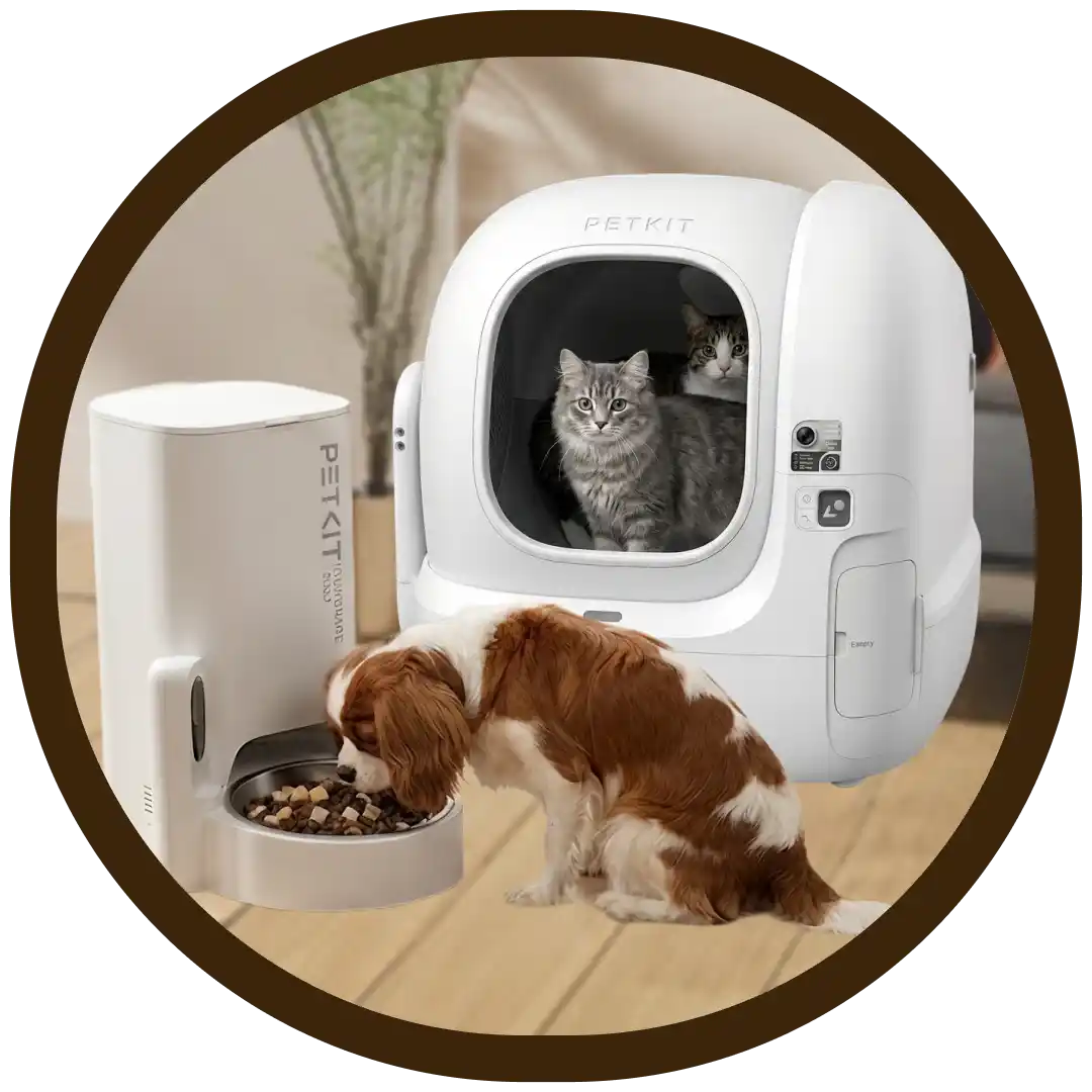 Offres Animaux de Compagnie
