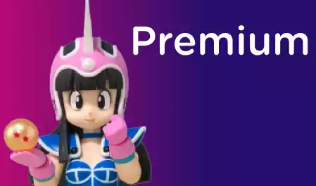 ¡Regalos Premium!