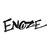 Coches RC Enoze