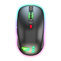 Souris PC