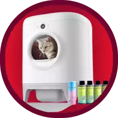 Ofertas em Caixas de Areia e Bebedouros