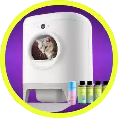 Ofertas em Caixas de Areia e Bebedouros