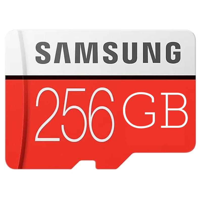 Tarjetas micro SD 256GB