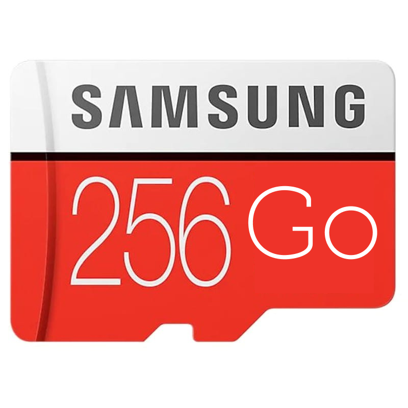 Cartes micro SD 256 Go