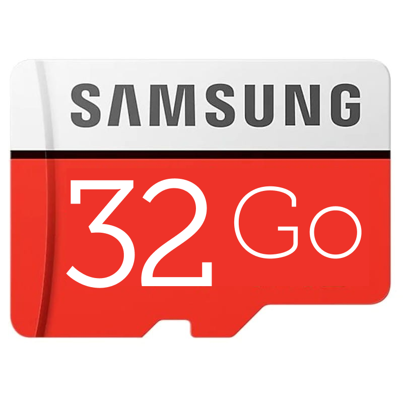 Cartes micro SD 32 Go