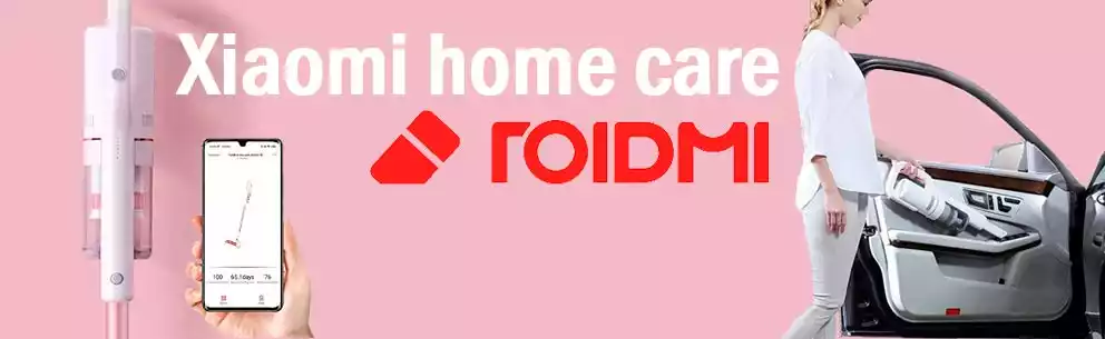 Roidmi