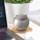 Abridor de garrafas Xiaomi Circle Joy Piggy Beer - Item4