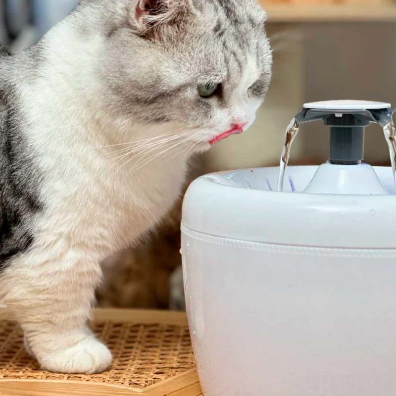 AmiCura A2 - Fontaine pour chats - Ítem2