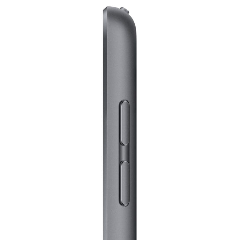 Apple iPad 256GB WiFi+Cellular Gris Espacial - Ítem2