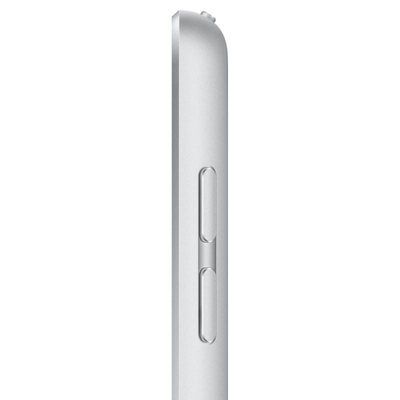 Apple iPad 256GB WiFi+Cellular Plata - Ítem2