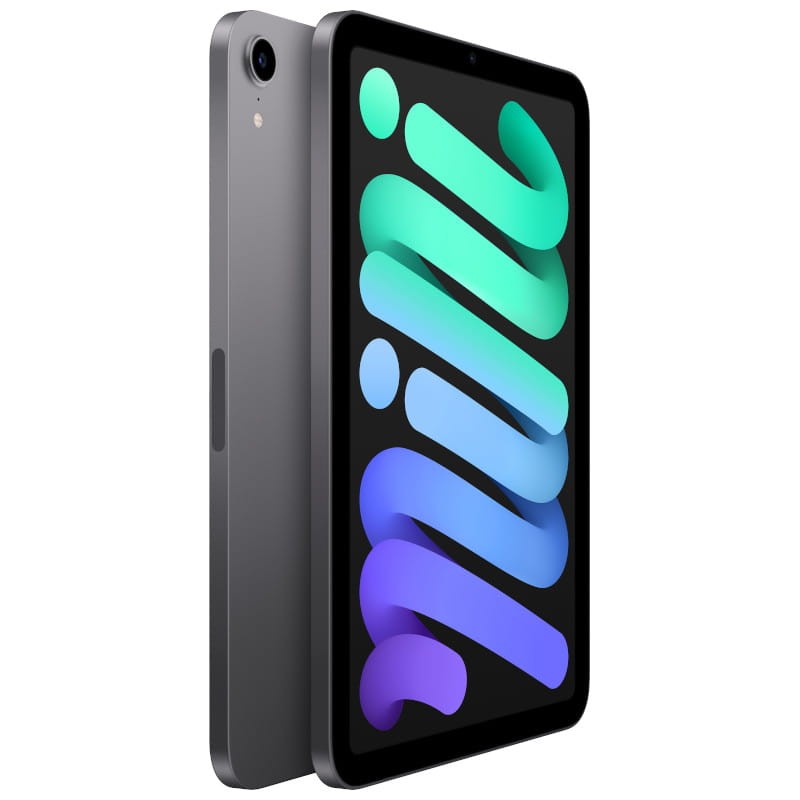 Apple iPad Mini 64 Go WiFi Gris Sidéral - Ítem1