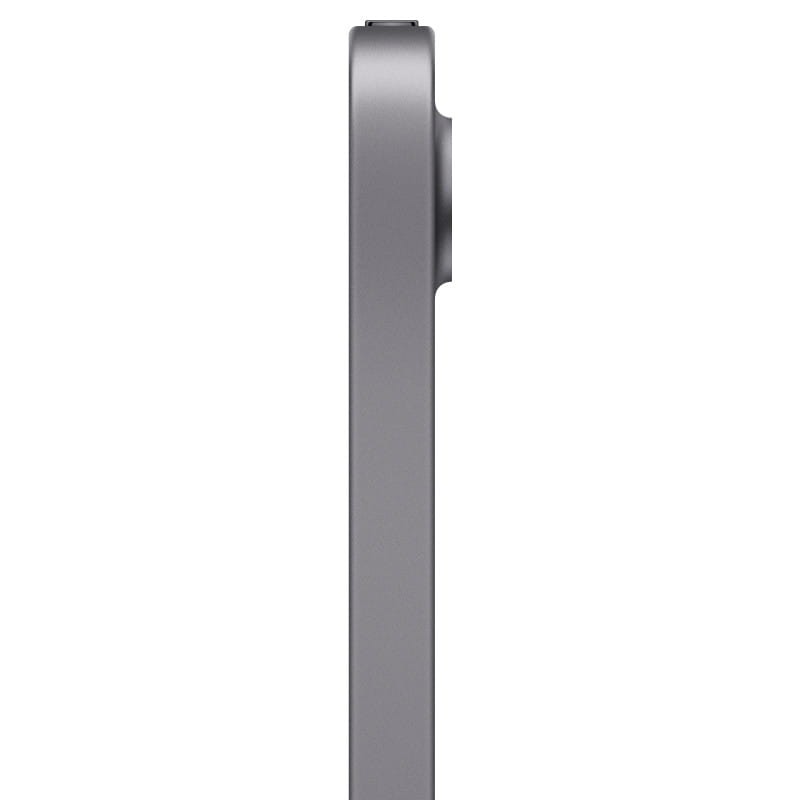 Apple iPad Mini 64 Go WiFi Gris Sidéral - Ítem2