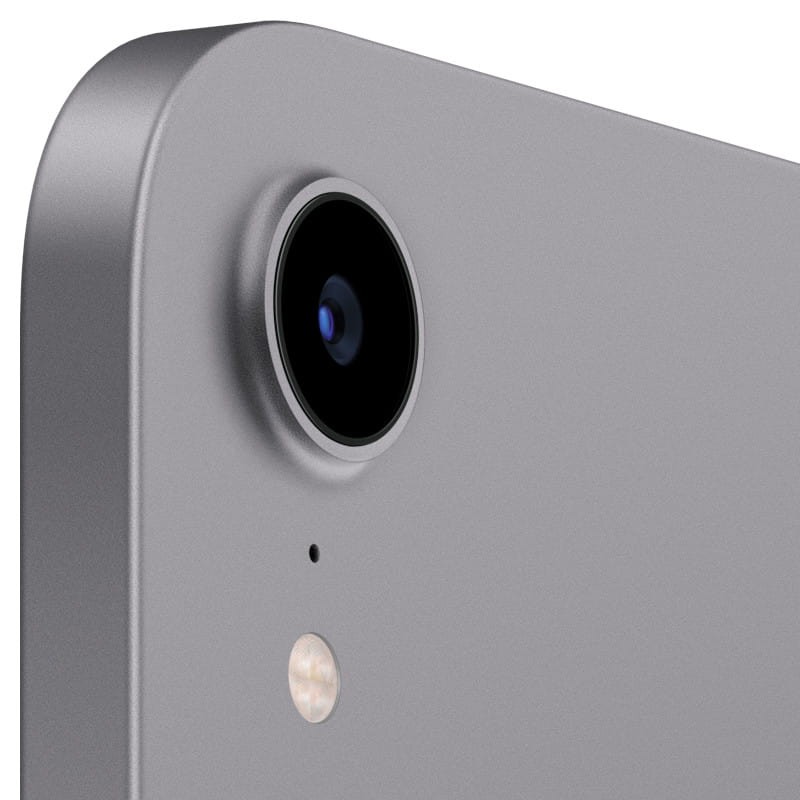 Apple iPad Mini 64 Go WiFi Gris Sidéral - Ítem3