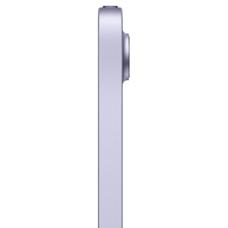 Apple iPad Mini 256 Go WiFi Mauve - Ítem2