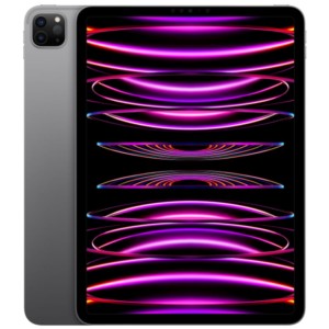 Apple iPad Pro 2022 11 M2 128Go WiFi Gris