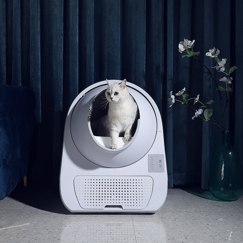 Arenero gatos autolimpiable xiaomi 2025