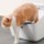 Caixa de Areia Petkit T2-S - Item5