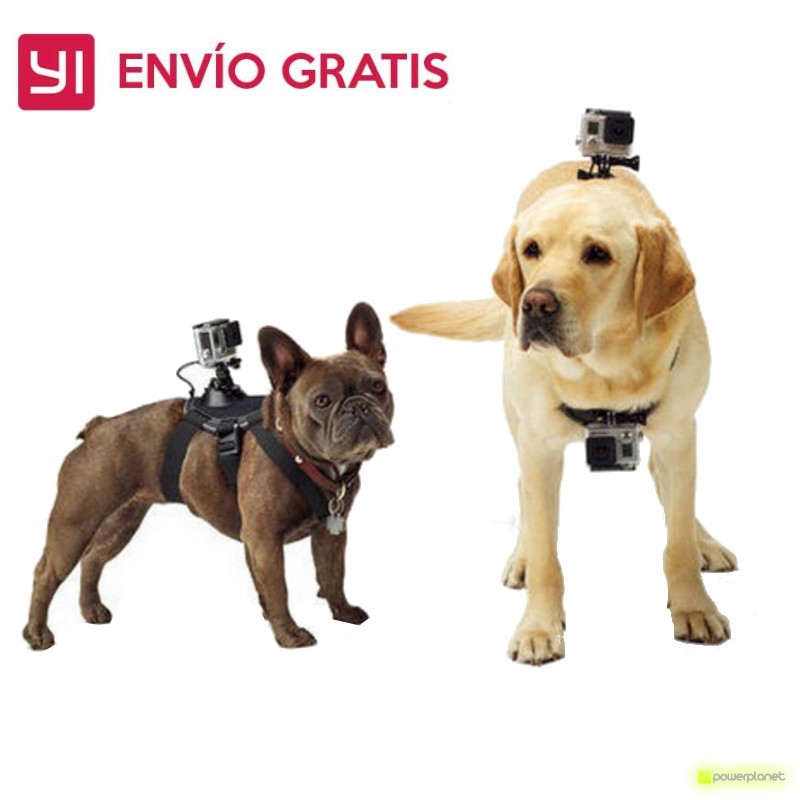 Arnês pet Yi Action - Grande