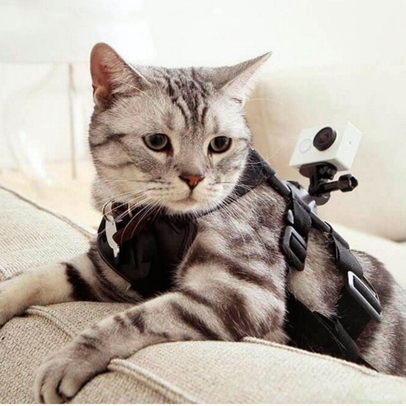 Arnés para Mascotas Yi Action - Pequeño - Ítem