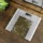 Scale Cecotec Surface Precision 9100 Healthy - Item2