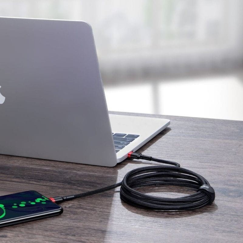 Baseus Câble Cafule USB Type C vers USB Type C PD2.0 100W 2m - Ítem5