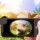 Baseus Lentes para Smartphone Standard (Grande Angular/Quadro + Olho de Peixe) - Item8
