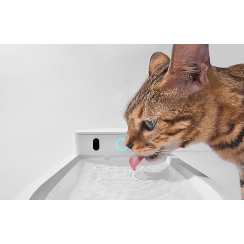 Bebedero automático para mascotas inalámbrico Catlink Pure 3 Blanco - Ítem7
