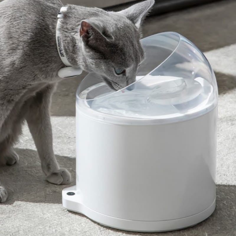 Abreuvoir Automatique pour Animaux Catlink Pure 2 Blanc - Ítem2