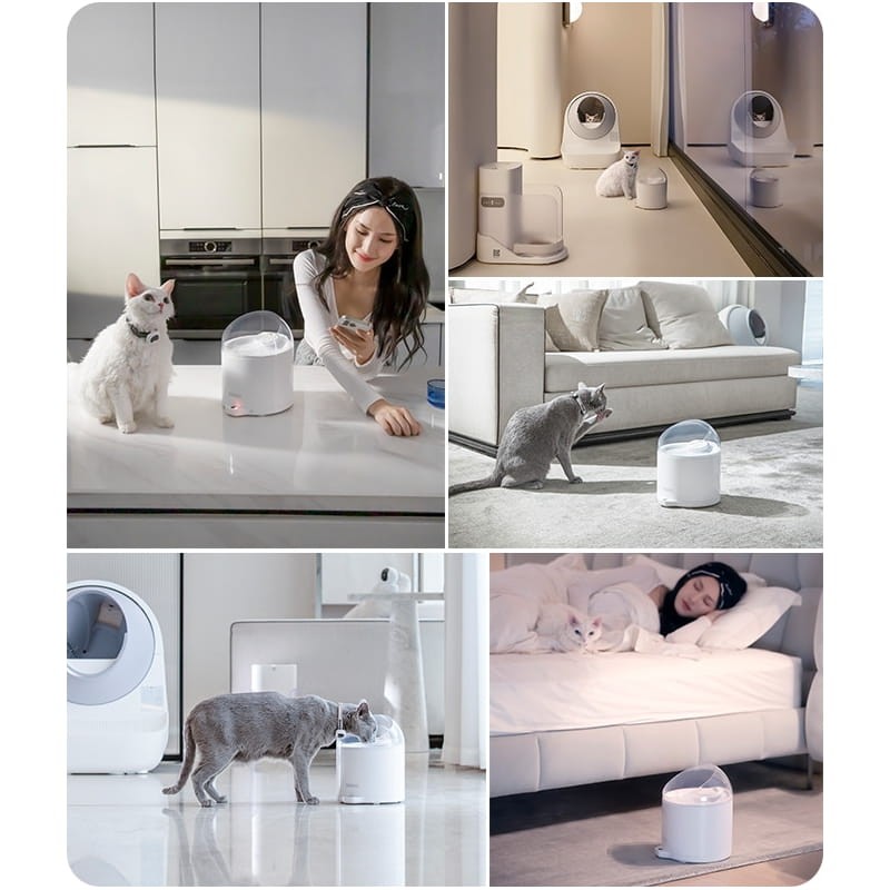 Abreuvoir Automatique pour Animaux Catlink Pure 2 Blanc - Ítem6