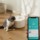 Automatic Drinker for Pets Catlink Fountain - Item5