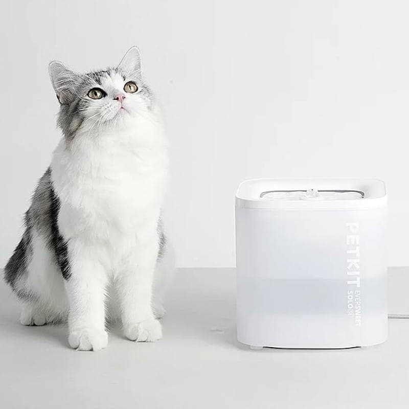 Petkit Eversweet Solo SE Smart Pet fonte bebedor automático gato branco