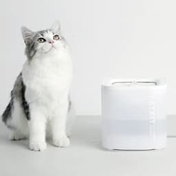 Petkit Eversweet Solo SE Smart Pet fonte bebedor automático gato branco