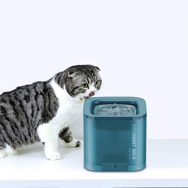 Bebedouro Petkit Eversweet Solo Smart Pet Fountain Verde - Item2