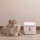 Fountain Xiaomi Pawbby Smart Pet Fountain - Item6
