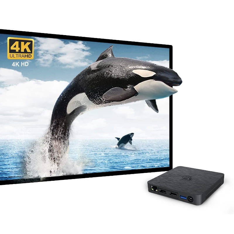Beelink T4 Pro Intel N3350/4GB/64GB SSD/W10 - Mini PC - Ítem3