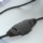 Black Shark Goblin X1 Blanco - Auriculares Gaming - Ítem4