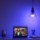 Bombilla Inteligente Xiaomi Yeelight Smart LED Bulb 1SE Color RGB - Ítem5