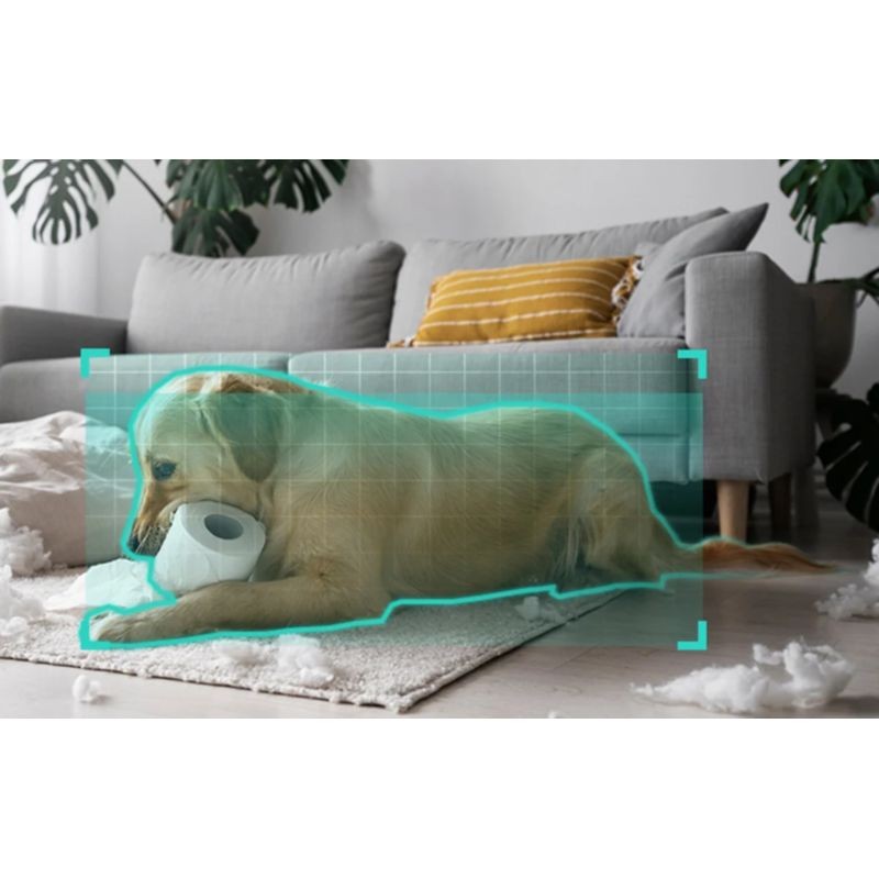 Botslab 2 Pro C221 5MP WiFI 5G Visión nocturna - Cámara de vigilancia - Ítem9