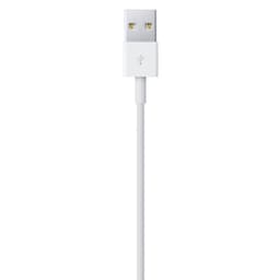 Cabo Apple USB 2.0 para Lightning 2m - Cabo