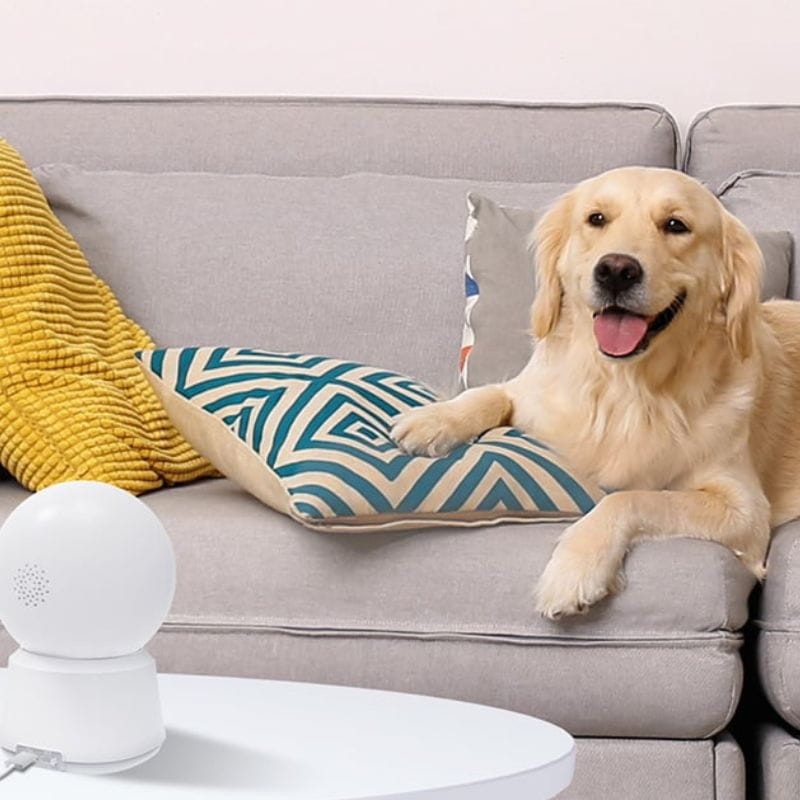 Câmara de Segurança Arenti P2Q 4MP UHD 2K Dual WiFi IP 360º Visão Noturna Branca - Item1