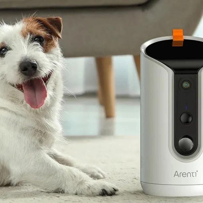 Cámara de vigilancia para mascotas con dispensador de golosinas Arenti Petcam 3MP 2K HD WiFi Dual Blanco - Ítem1